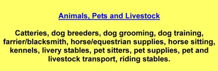 Catteries,dog breeders,dog grooming,dog training,farrier/blacksmith,horse/equestrian supplies,kennels,livery stables,pet sitters,pet supplies,pet and livestock transport,riding stables,horse sitters,horse care
